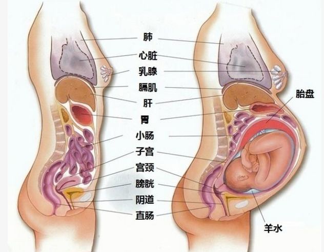 最新资讯 第82页