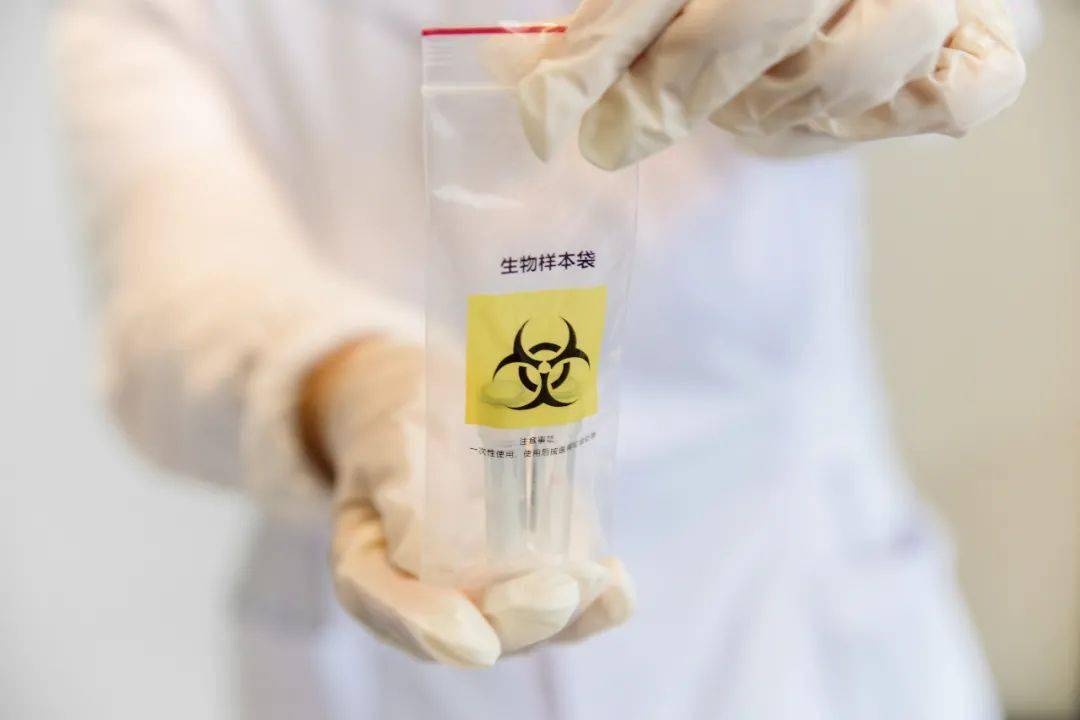 游戏专题 第81页