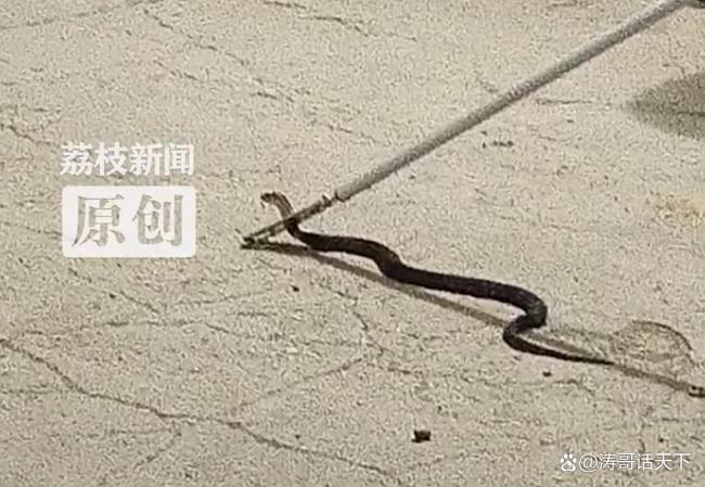 热点生活 第70页