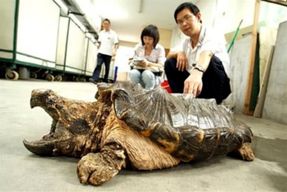 地方新闻 第67页