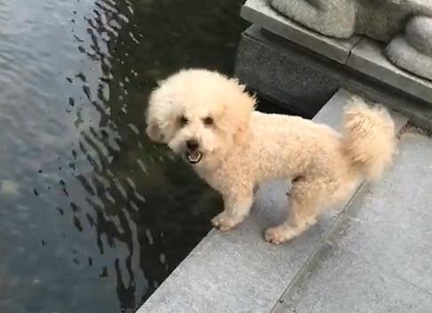 港澳新闻 第60页