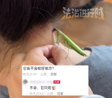 游戏专题 第45页