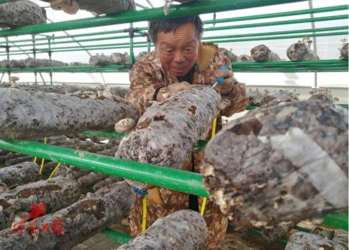 娱乐生活 第34页