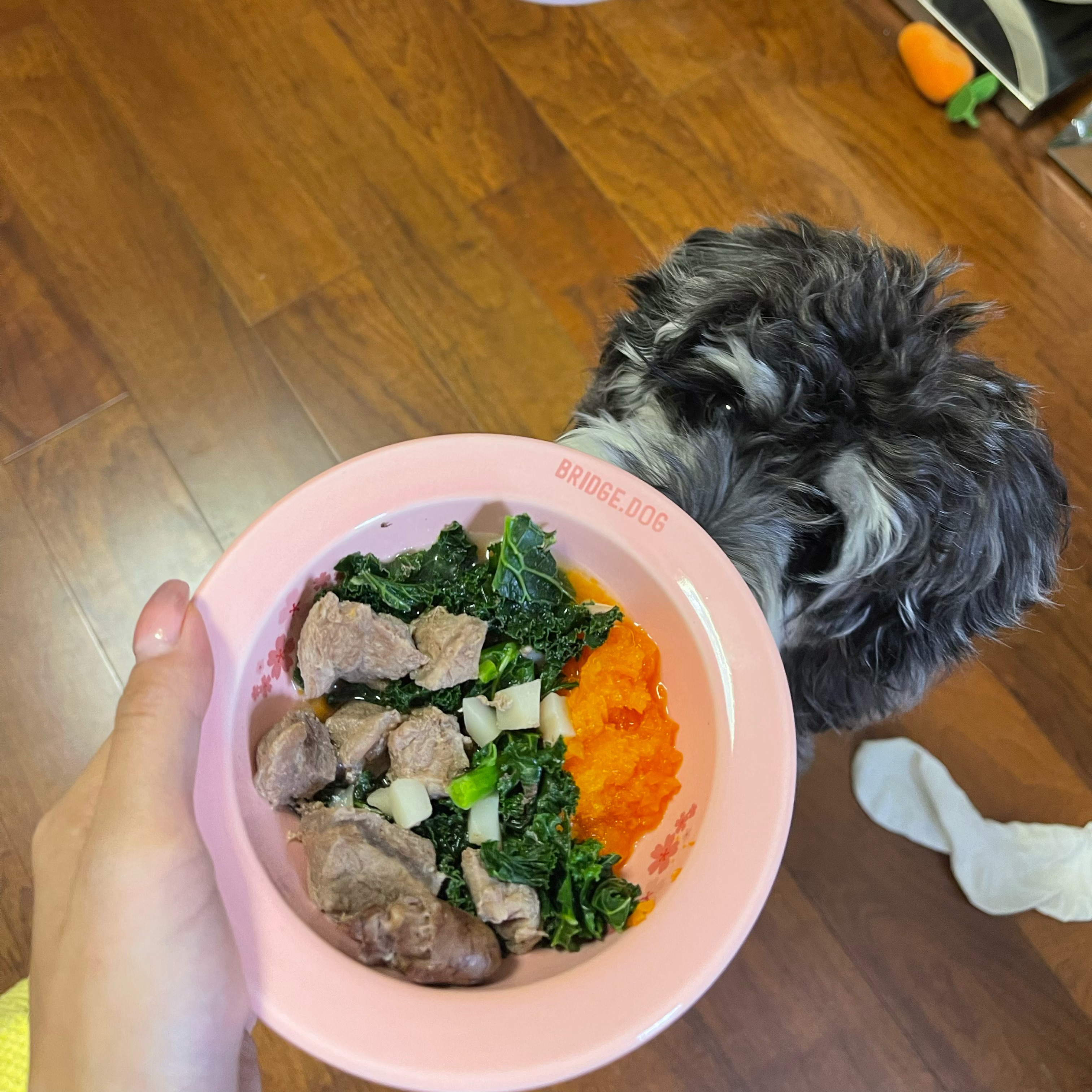 娱乐生活 第4页