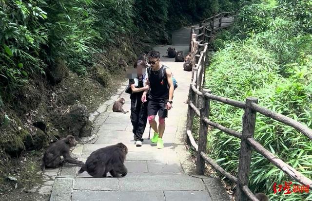 揭秘峨眉山陪爬团队:九成游客为女性揭秘峨眉山陪爬团队，九成游客为女性