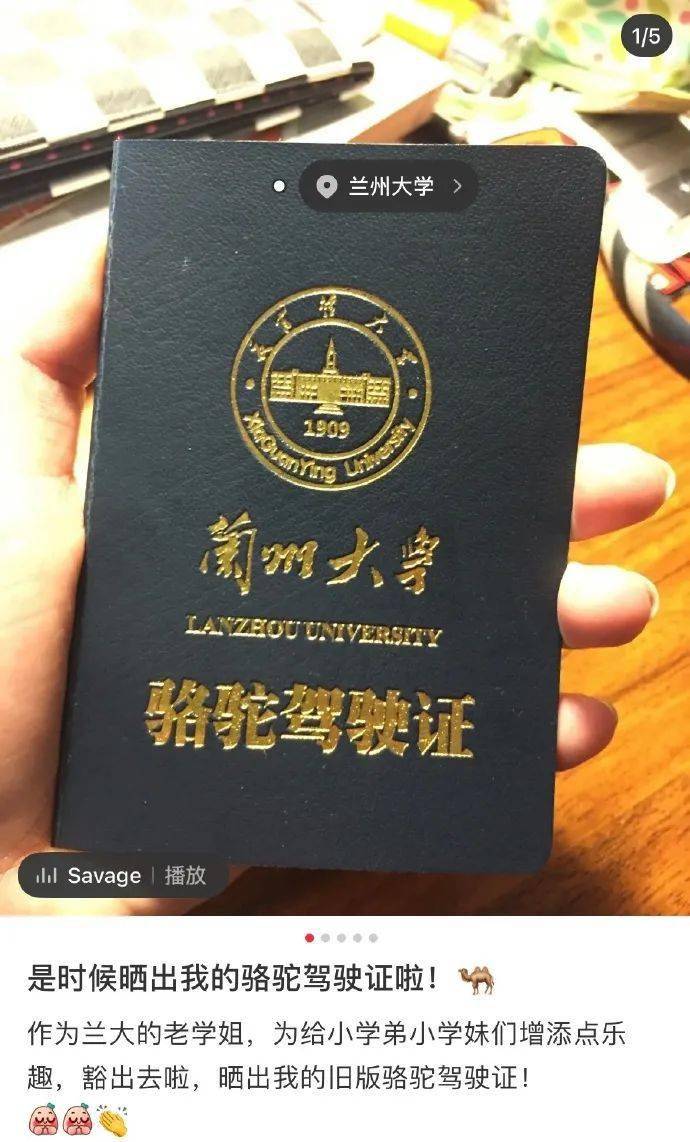 学生持证骑骆驼上学？兰州大学回应兰州大学惊现奇特现象，学生持证骑骆驼上学？校方回应！