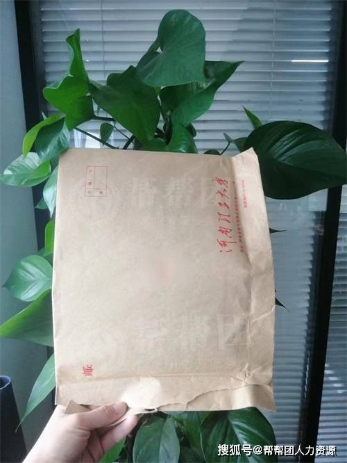 档案袋脱胶了自己粘回去可以吗档案袋脱胶了自己粘回去可以吗？解决方法全解析